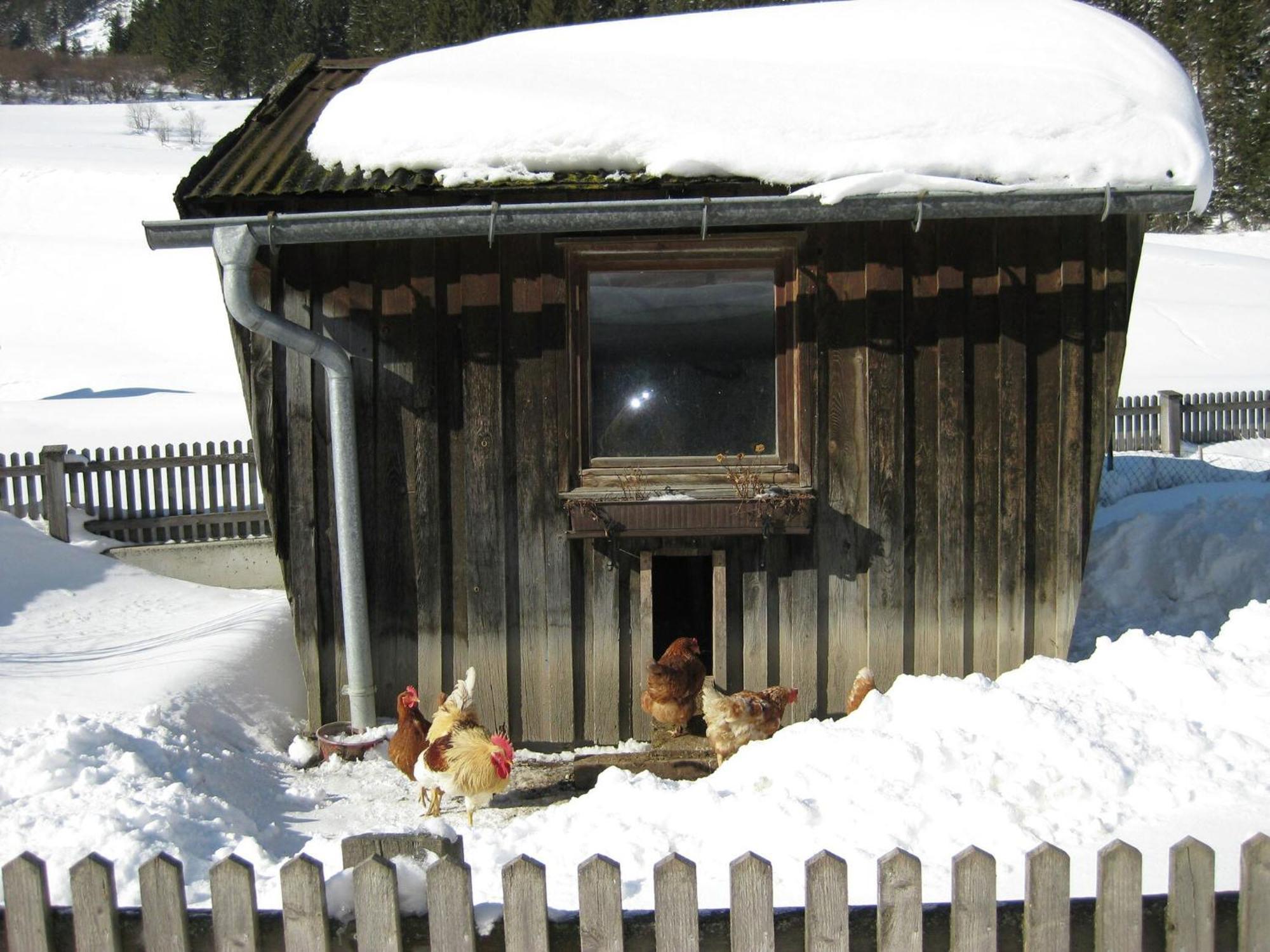 Apartment Near The Arlberg Ski Area Pettneu am Arlberg Exterior foto